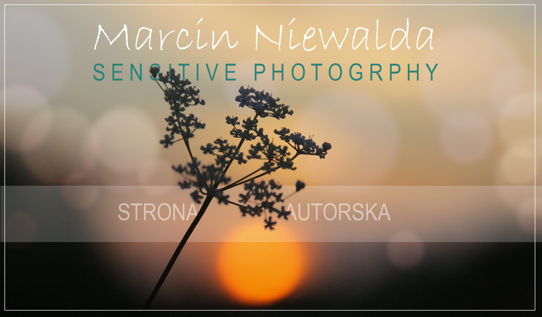 Marcin Niewalda - fotografia